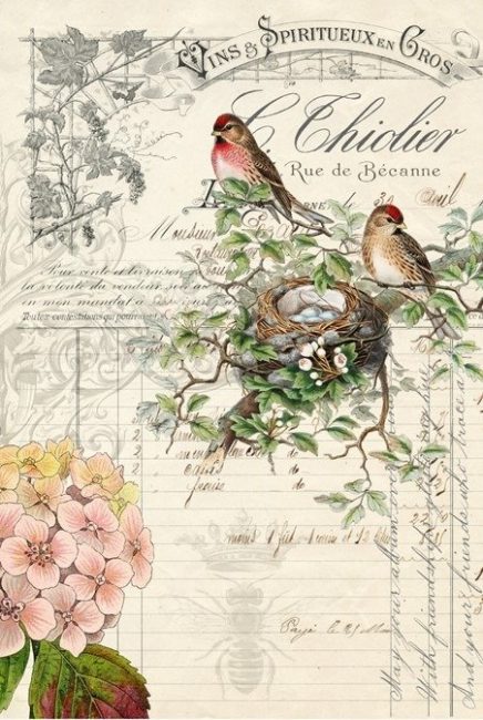 roycycled decoupage Bird Ephemera Paper